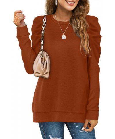 Women's Sweatshirts Crew Neck Puff Sleeve Pullover Sweaters Loose Clothes Trendy Flowy 04a-caramel $20.29 Hoodies & Sweatshirts