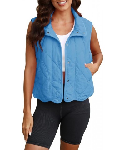 Womens Quilted Vest Cropped Puffer Vest Lightweight Outwear with Pockets Button Down Puffy Vest Padded Gilet Blue $25.19 Vests