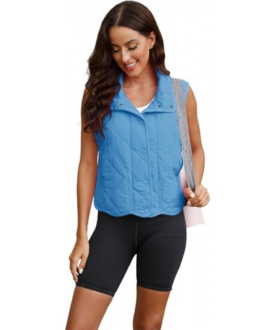 Womens Quilted Vest Cropped Puffer Vest Lightweight Outwear with Pockets Button Down Puffy Vest Padded Gilet Blue $25.19 Vests