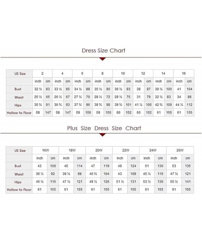 Lace Tulle Tiered Prom Dresses for Women Spaghetti Straps Corset Long Formal Evening Dresses with Slit Silver $47.50 Dresses